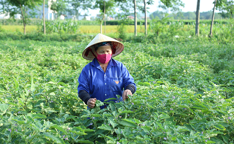 Vai trò của hội khuyến học trong trung tâm học tập cộng đồng