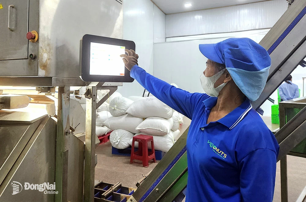 Hoạt động ứng dụng công nghệ vào sản xuất tại một doanh nghiệp tại huyện Xuân Lộc. Ảnh: H.Quân