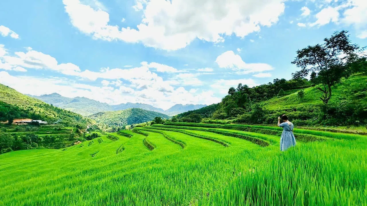 'Làm du lịch bằng trái tim' - hành trình lan tỏa OCOP của chàng trai Tủa Chùa