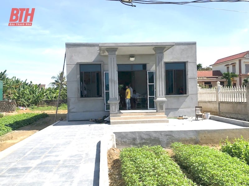 សាខា TYM Thanh Hoa បង្ហាញ 