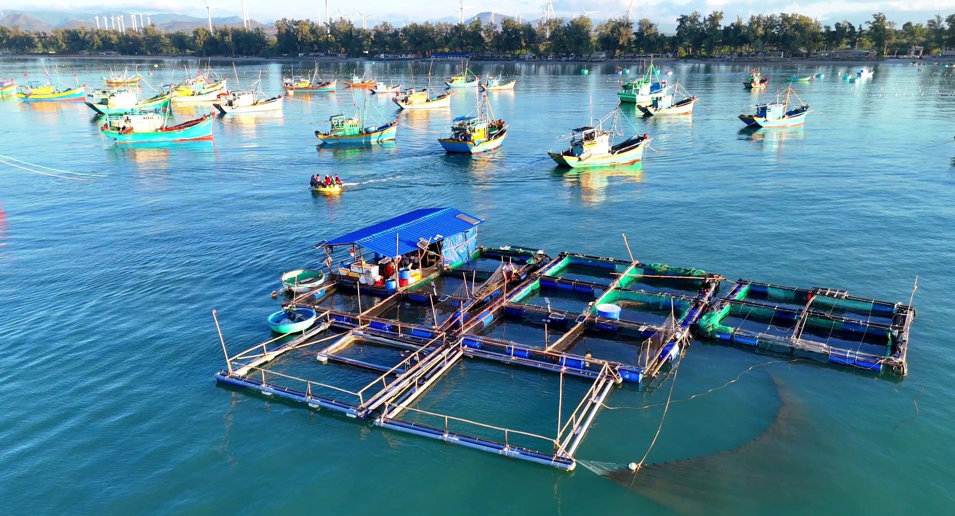 khu-long-be-cua-anh-quang.jpg