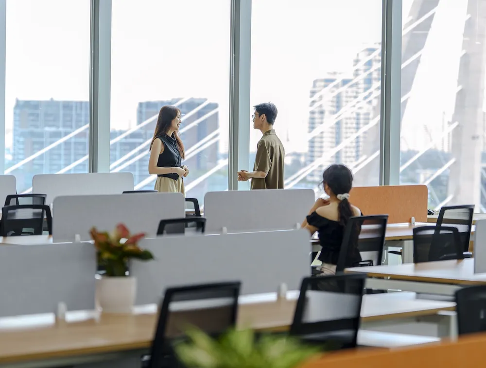 Xiaomi Office 8.JPG