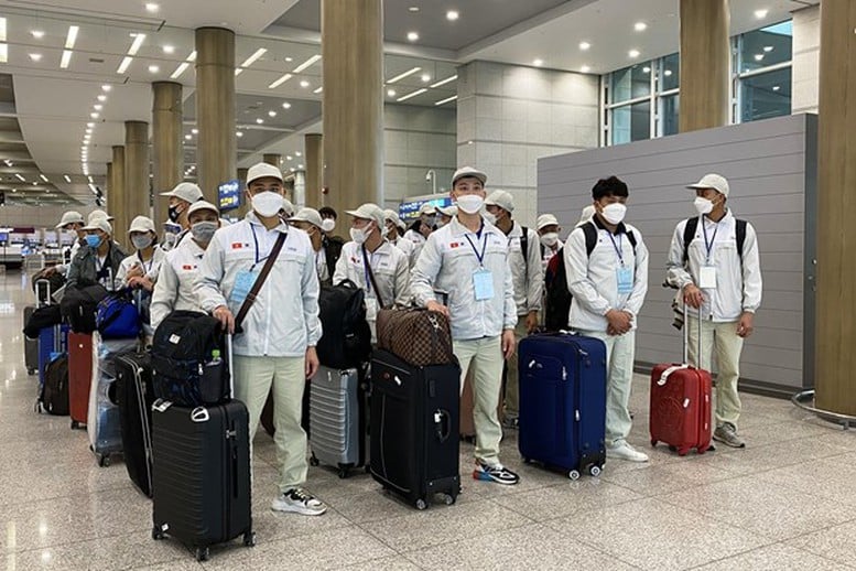 Phí môi giới 'trên trời', trục lợi xuất khẩu lao động: Siết kỷ cương, xử lý nghiêm sai phạm- Ảnh 1.