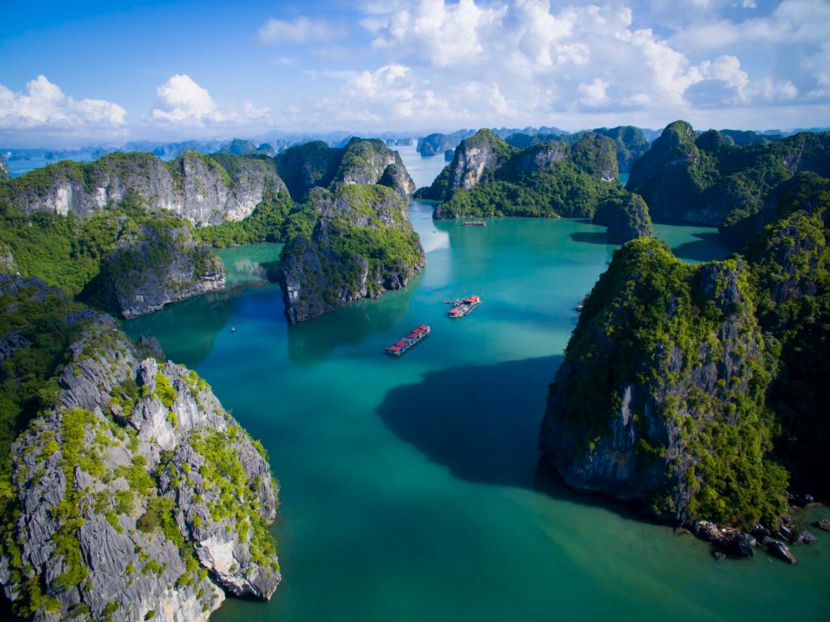 Tái tạo màu xanh trên núi đá Vịnh Hạ Long