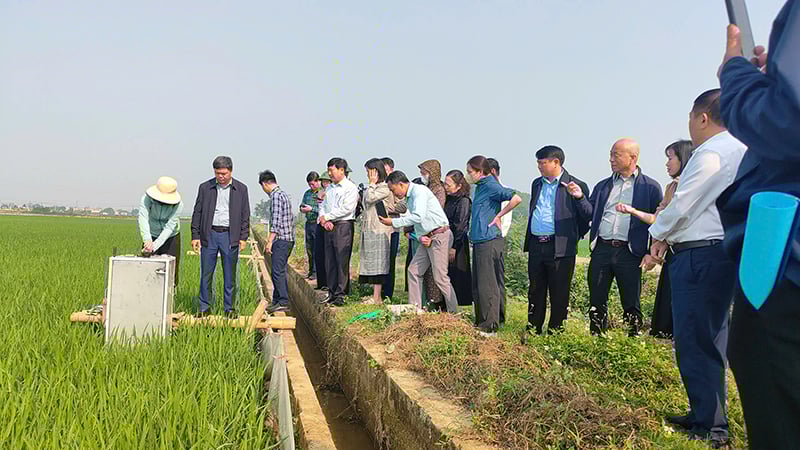 Positive signals from carbon credit creation in rice production in Yen Dinh