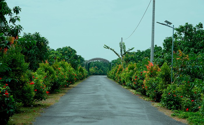 Tuyến đường nông thôn được lắp đặt hệ thống chiếu sáng thông minh. Ảnh: dongthap.gov.vn