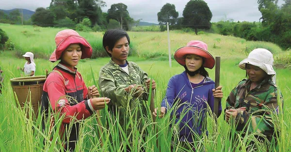 Hợp nhất chương trình nông thôn mới và giảm nghèo bền vững