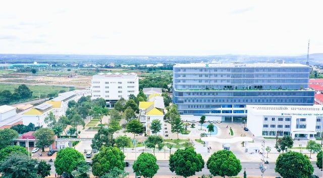 Trường ĐH Y Dược Buôn Ma Thuột và sứ mệnh vì cộng đồng - Ảnh 1.