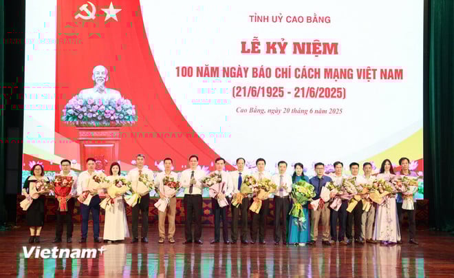 vnp-bao-chi.jpg