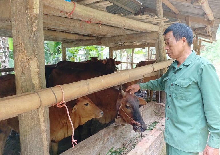 t7-ong-dong-phuc-chien-thon-ban-trang-xa-dong-lac-cho-don-ben-dan-bo-cua-gia-dinh.jpg