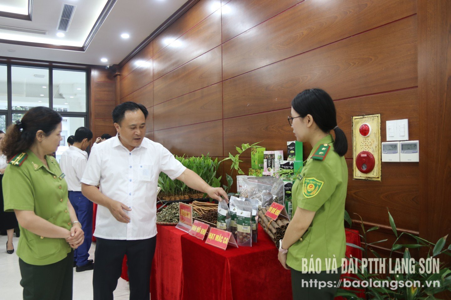 รูปภาพ,6718,09472720.jpg