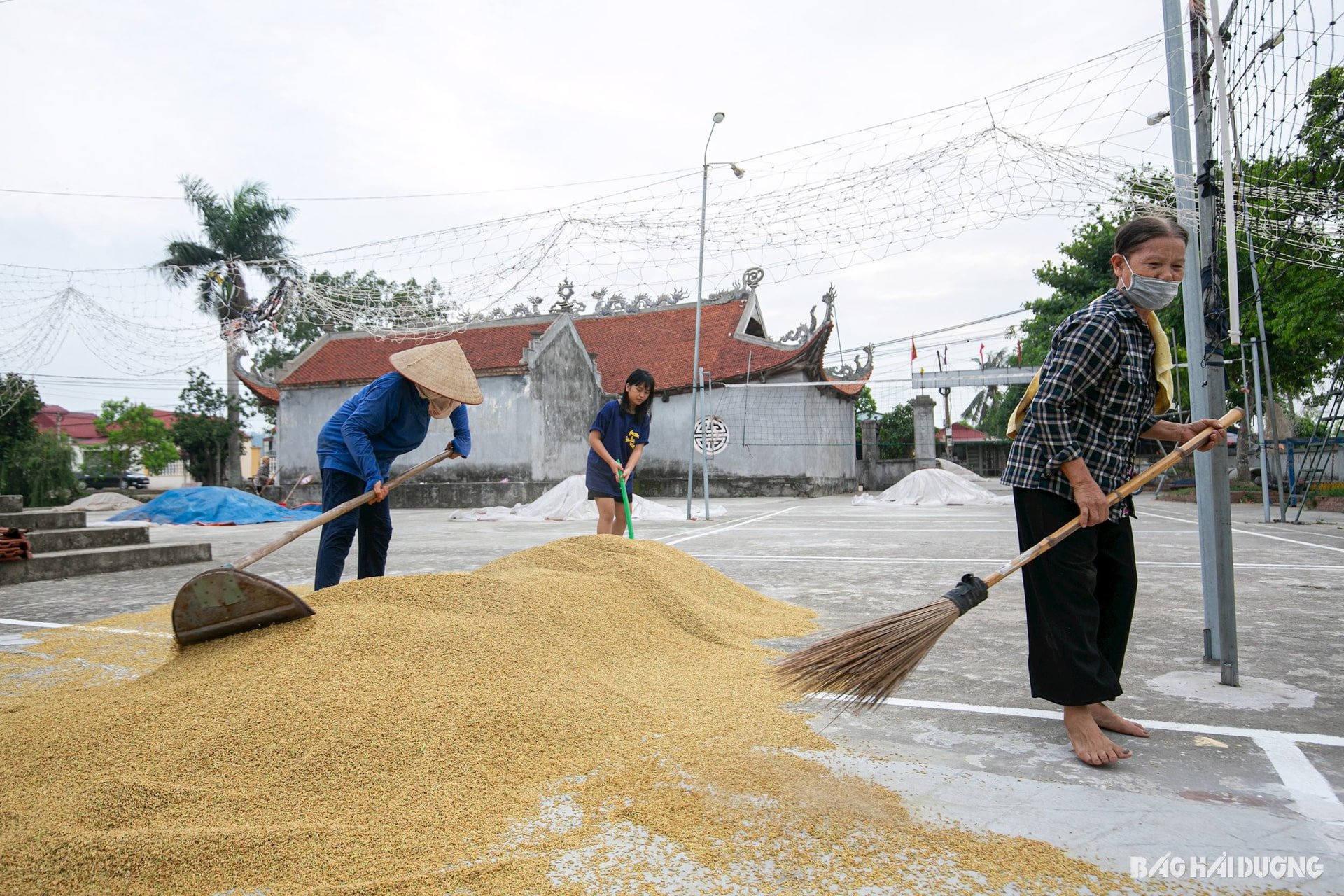 phoi-thoc-san-dinh-9.jpg