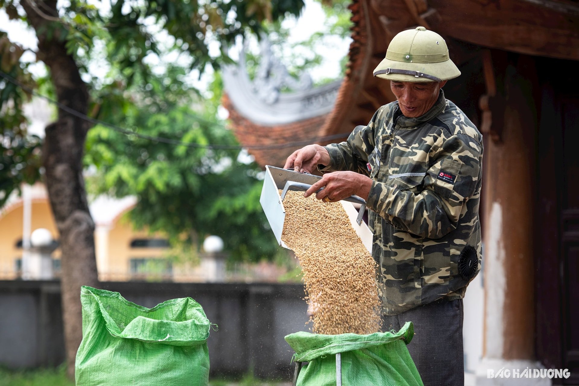phoi-thoc-san-dinh-8.jpg