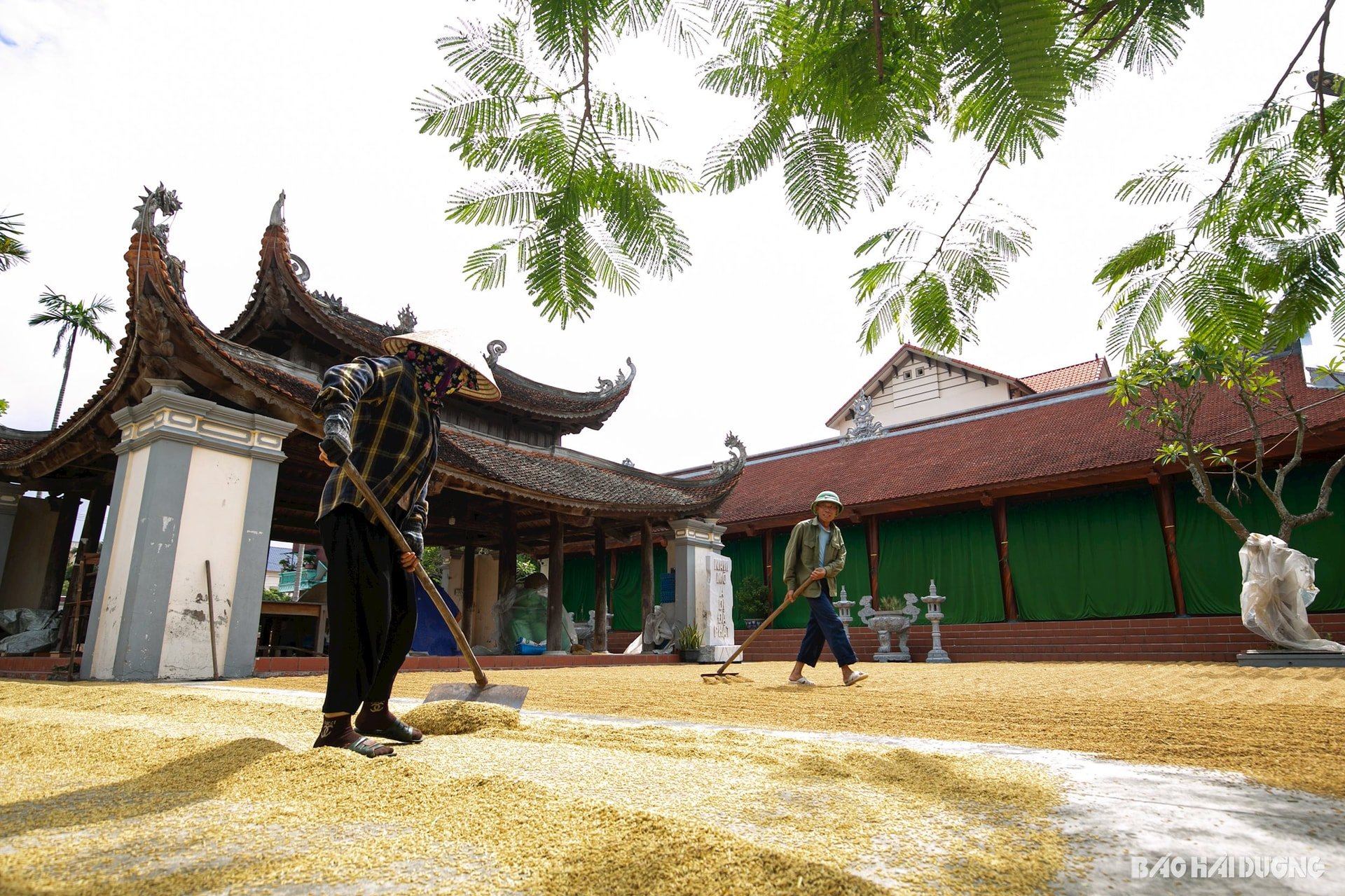 phoi-thoc-san-dinh-5.jpg
