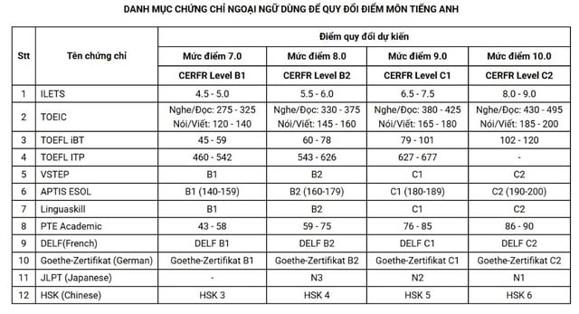 Có thể dùng chứng chỉ ngoại ngữ để xét tuyển thay điểm tiếng Anh không? - Ảnh 5.