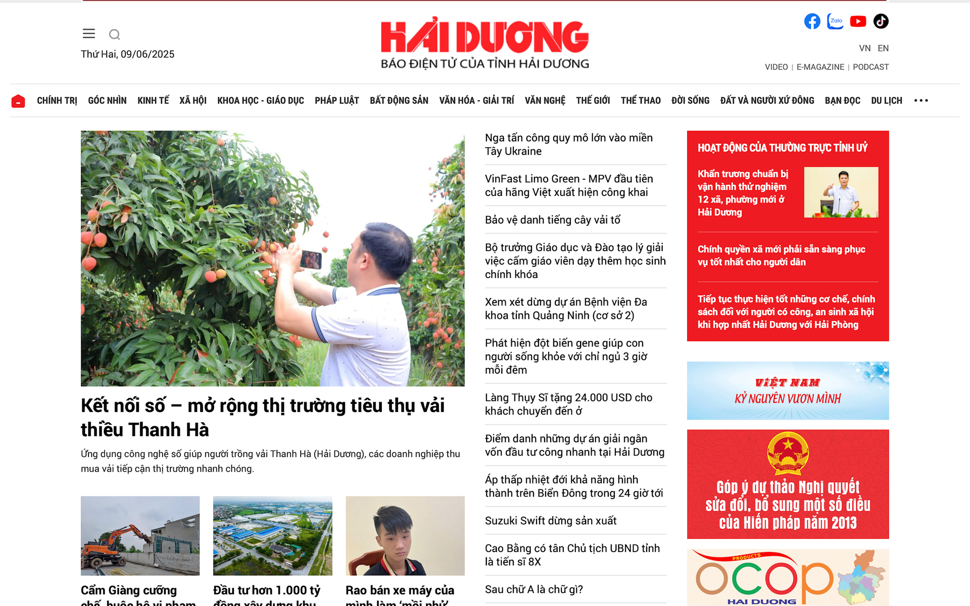 bao-hai-duong.png