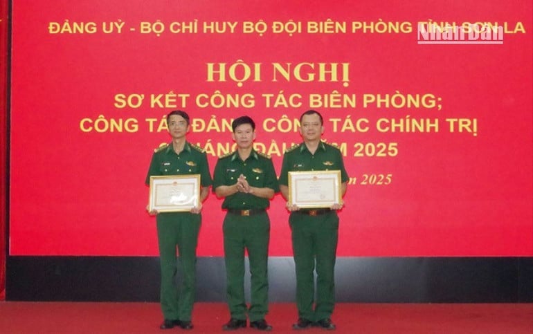 anh-2-9812.jpg