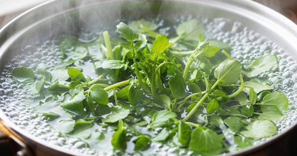 Món canh ngon miệng '3 trong 1' giảm cholesterol, tốt cho tim, ngừa ung thư