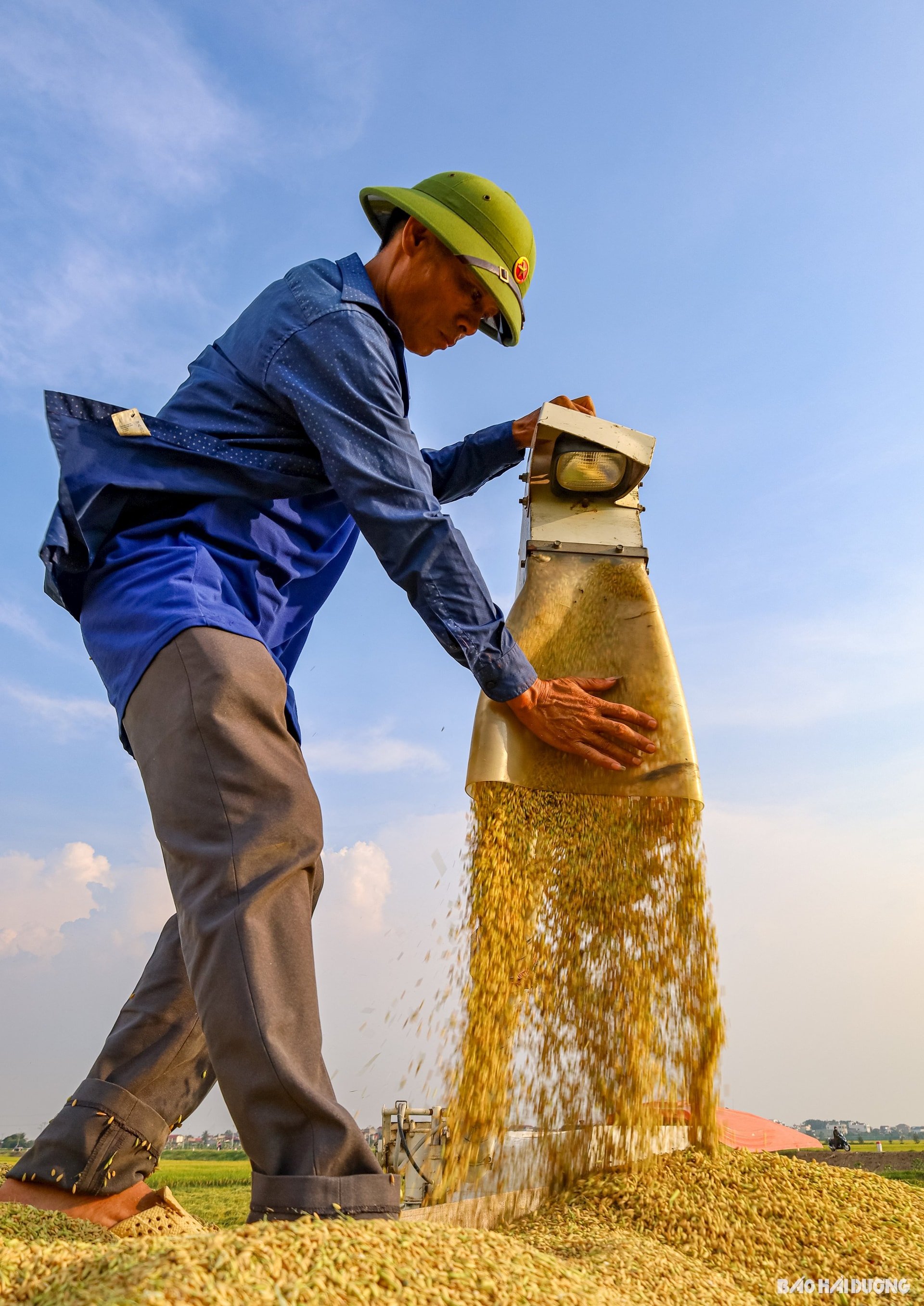 phoi-thoc-san-dinh-2.jpg