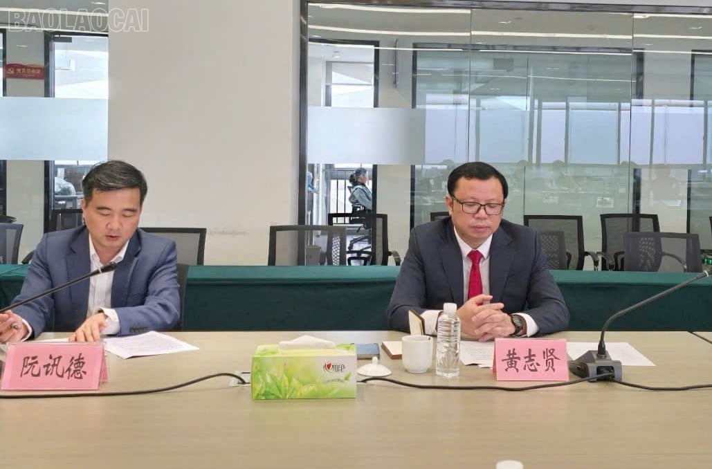 baolaocai-tl_q1.jpg