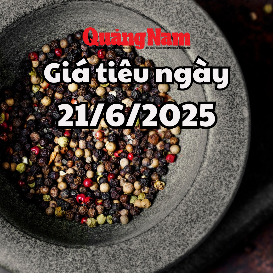 Tin tức, dự báo giá tiêu ngày mai 21 6 2025 đà giảm tạm thời ngừng lại