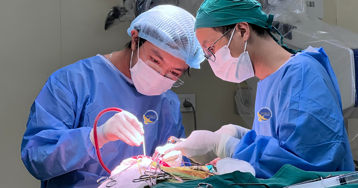 Khối u não to như quả quýt được phát hiện sau khi bị tai nạn giao thông