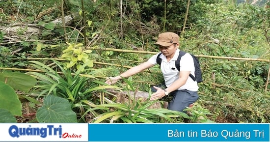 Tự hào khi được trở về làm báo trên quê hương