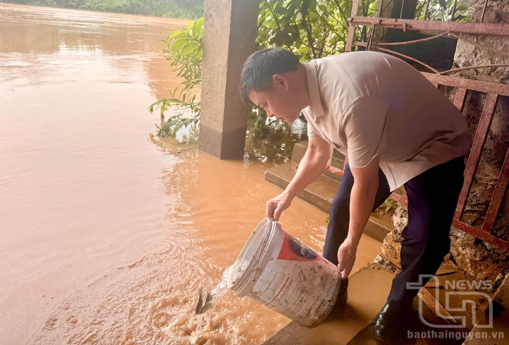 Dirigentes del Departamento de Agricultura y Medio Ambiente participaron en la liberación de alevines de peces en el río Cau.
