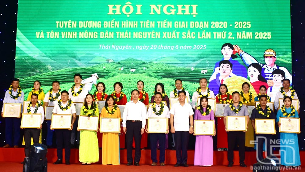 Khen thưởng các tập thể điển hình tiên tiến giai đoạn 2020-2025.