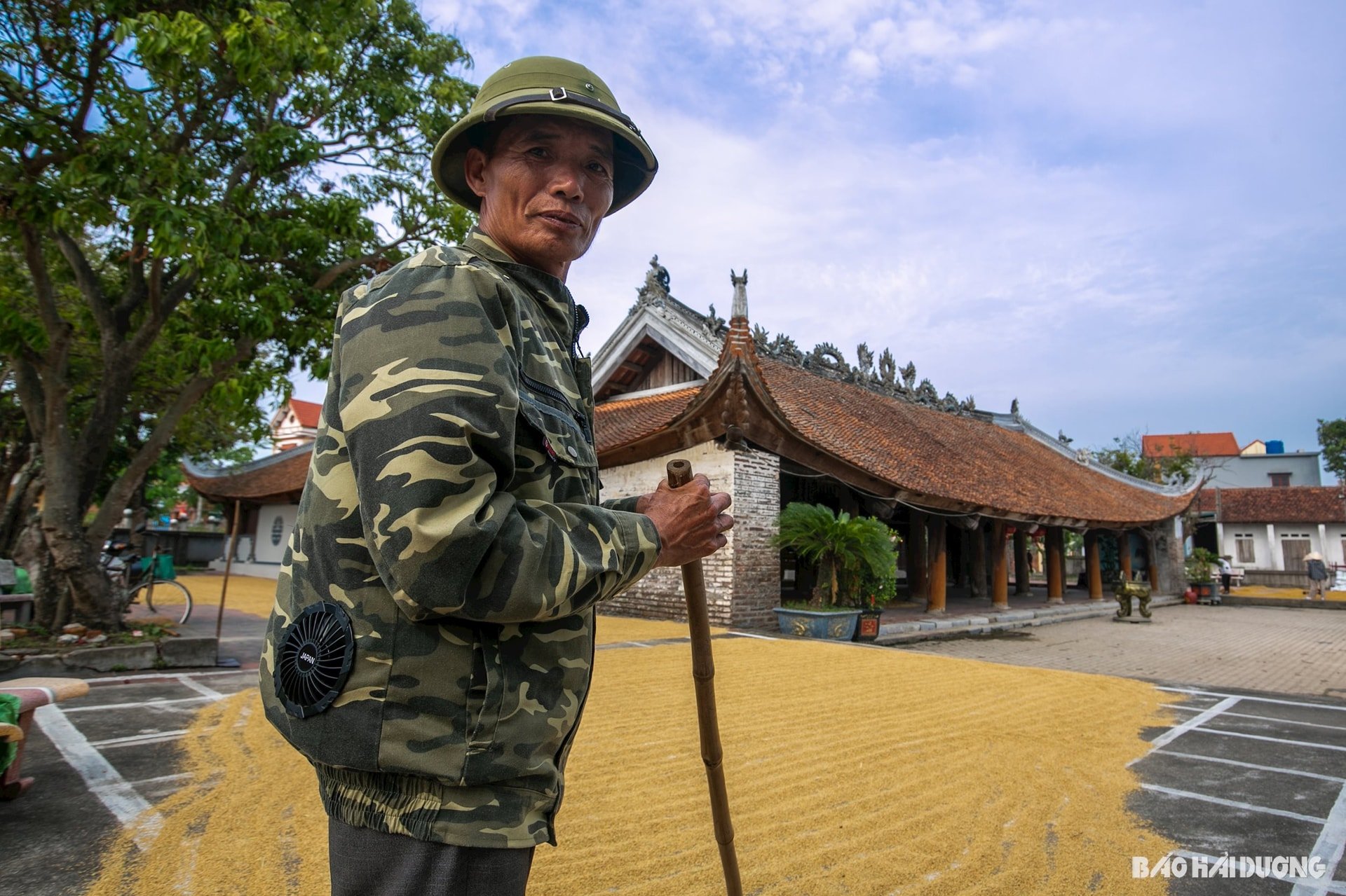 phoi-thoc-san-dinh-6.jpg