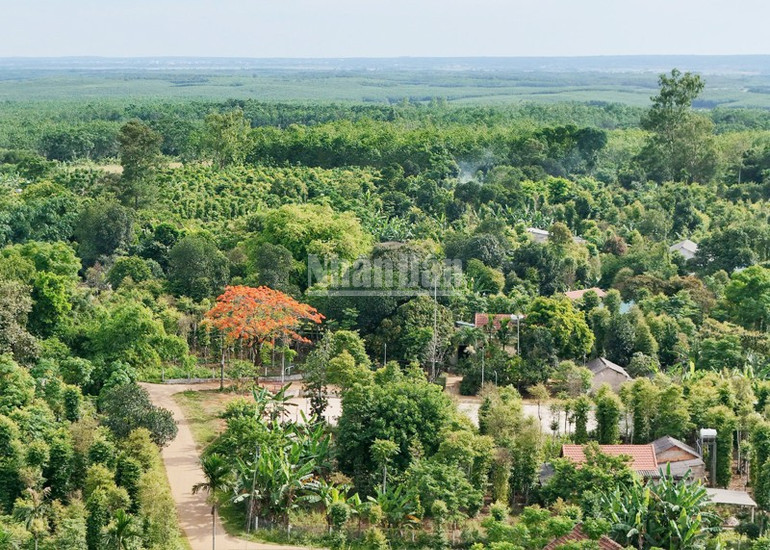ndo_c_gia-binh-2.jpg