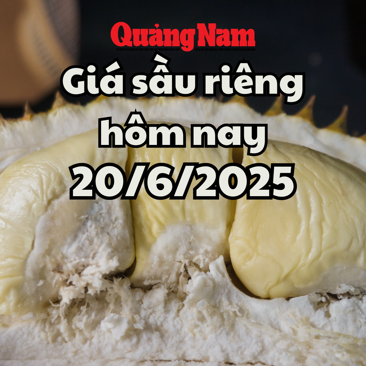 Giá sầu riêng hôm nay 20 6 2025 Sầu Thái tăng nhẹ ở Đông Nam Bộ