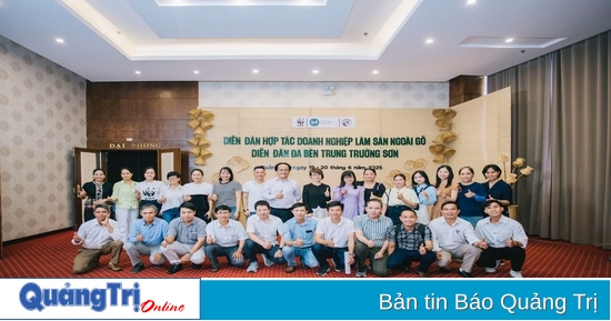 Multi-stakeholder Connectivity - Enhancing Green Finance for the Central Truong Son Region
