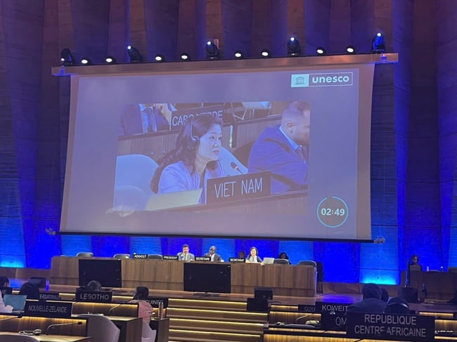 Việt Nam lần thứ 3 trúng cử thành viên Ủy ban liên chính phủ Công ước UNESCO 2005 - Ảnh 2.