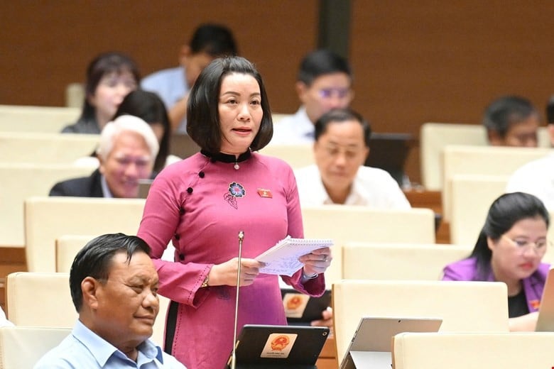 Der Abgeordnete der Nationalversammlung, Nguyen Minh Tam, wurde zur Mission befragt