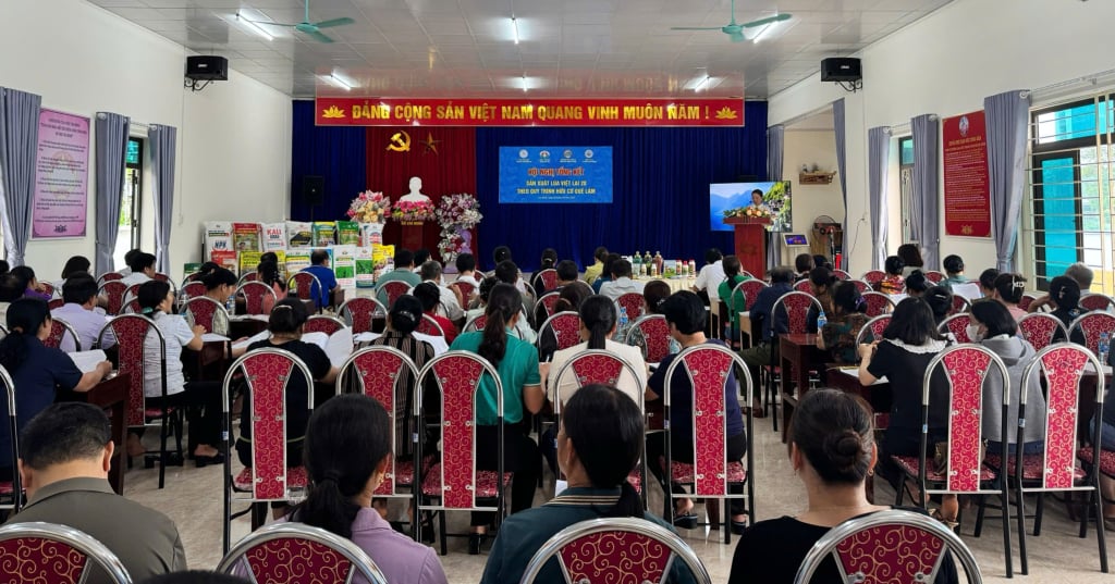 Các đại biểu tham sự hội nghị.