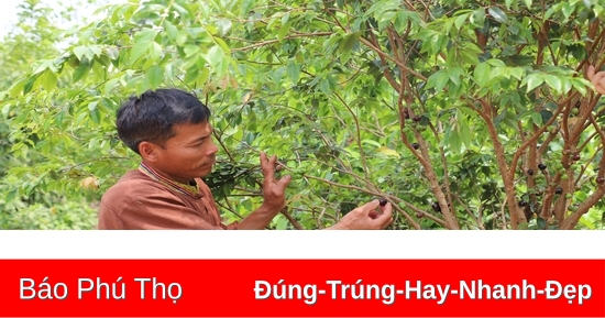 Đổi thay từ chương trình Mục tiêu Quốc gia