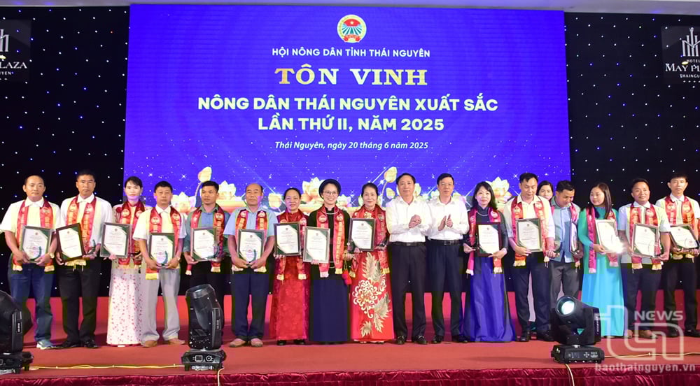 Hội Nông dân tỉnh tôn vinh, khen thưởng các nông dân xuất sắc lần thứ 2, năm 2025.