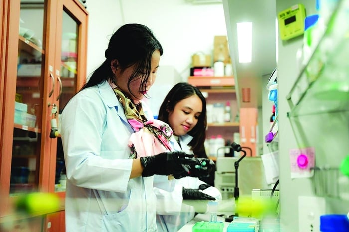 Tiến sỹ Hà Thị Thanh Hương (trái) cùng    đồng nghiệp trong phòng thí nghiệm. TS. Hà Thị Thanh Hương là 1 trong 3 nhà khoa học nhận Giải thưởng L’Oréal - UNESCO “Vì sự phát triển phụ nữ trong khoa học” (For Women in Science)  năm 2022
