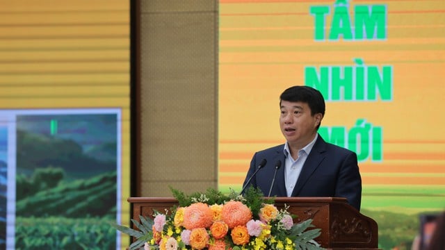 Chuyên gia hiến kế phát triển kinh tế - xã hội tỉnh Lâm Đồng sau sáp nhập   - Ảnh 2.