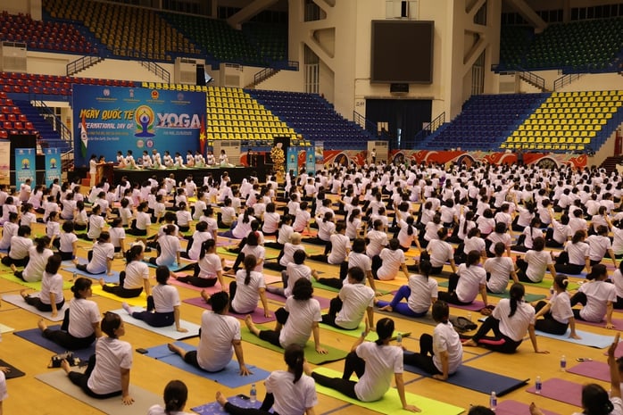 Những hình ảnh Ngày Quốc tế Yoga tại Việt Nam- Ảnh 3.