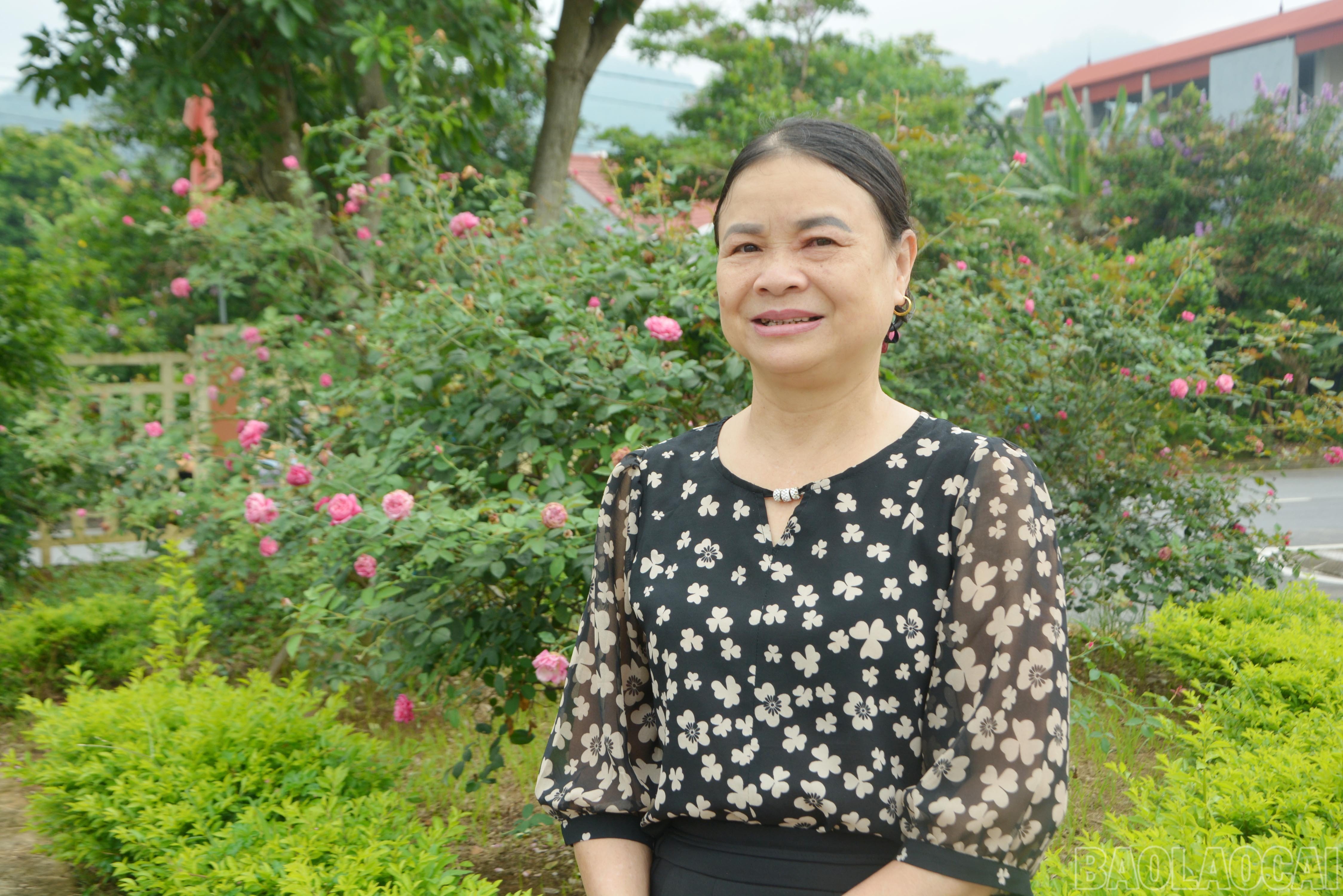 baolaocai-br_d-1.jpg