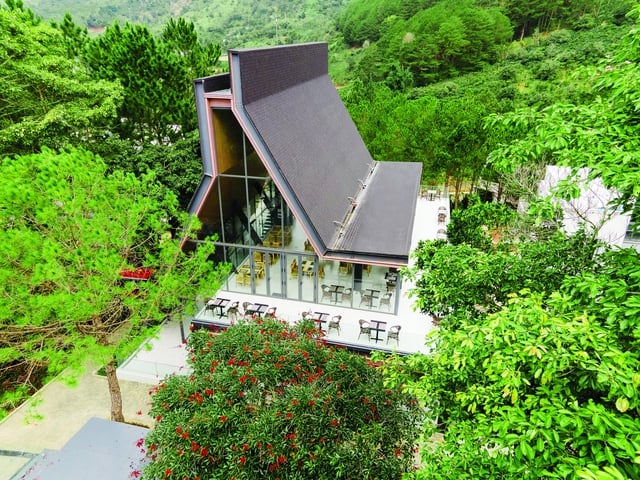 Rừng Thông Núi Voi - Điểm du lịch sinh thái mới giữa lòng Đà Lạt- Ảnh 4.