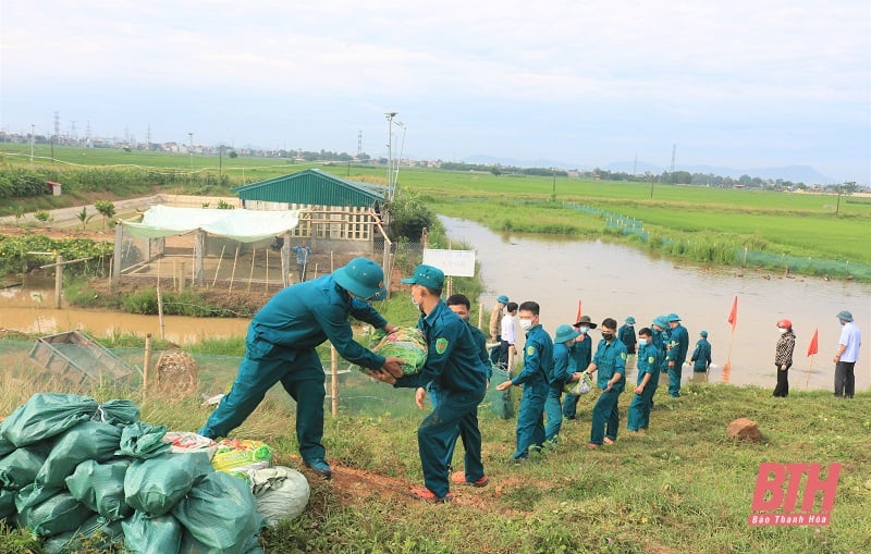 5 key tasks to enhance the effectiveness of disaster prevention, response and recovery in the province