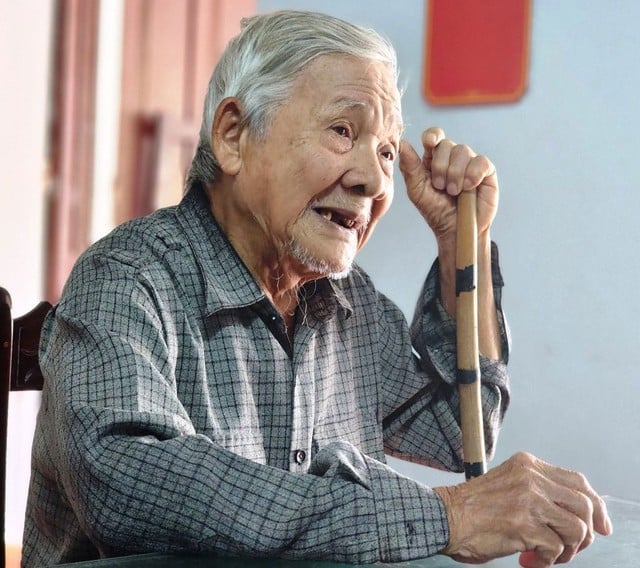 Độc đáo cây di sản Việt Nam: Đài quan sát kơ nia- Ảnh 2.