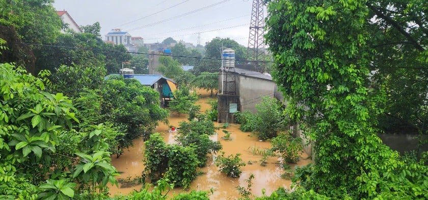 Nhiều nhà dân khu vực đê Nông Lâm TP Thái Nguyên ngập sâu trong nước