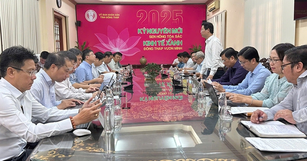 EVNNPT សហការជាមួយខេត្ត Dong Thap ដាក់ពង្រាយគម្រោងបញ្ជូនថាមពលបន្ទាន់