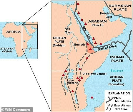 chau-phi-3.jpg
