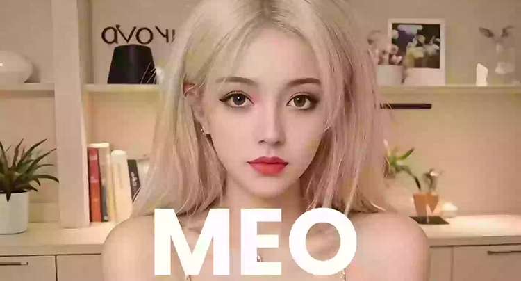 meo-9.png