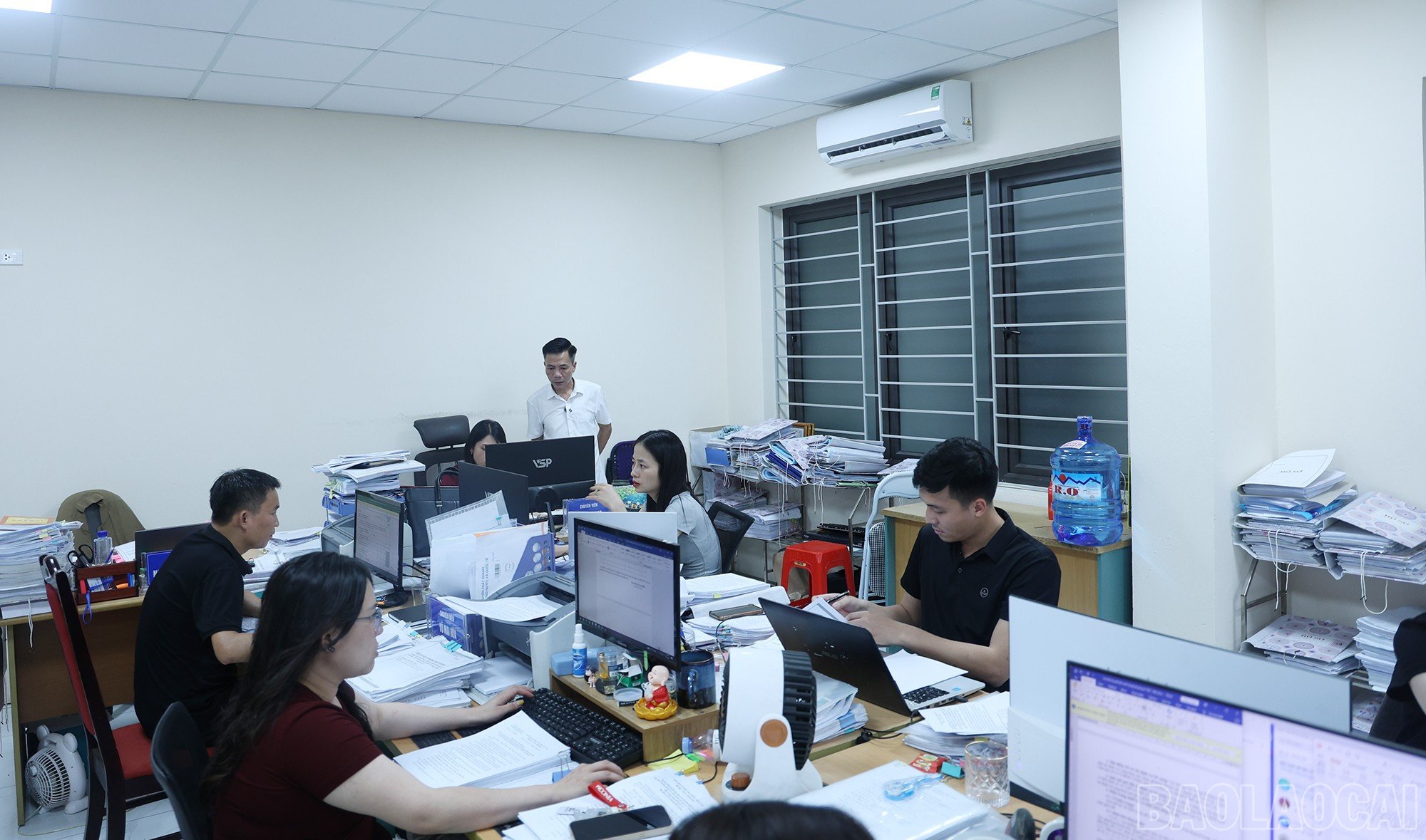 baolaocai-br_img-0257.jpg